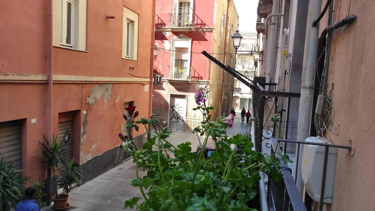 Yaki Domo 0*, Cagliari